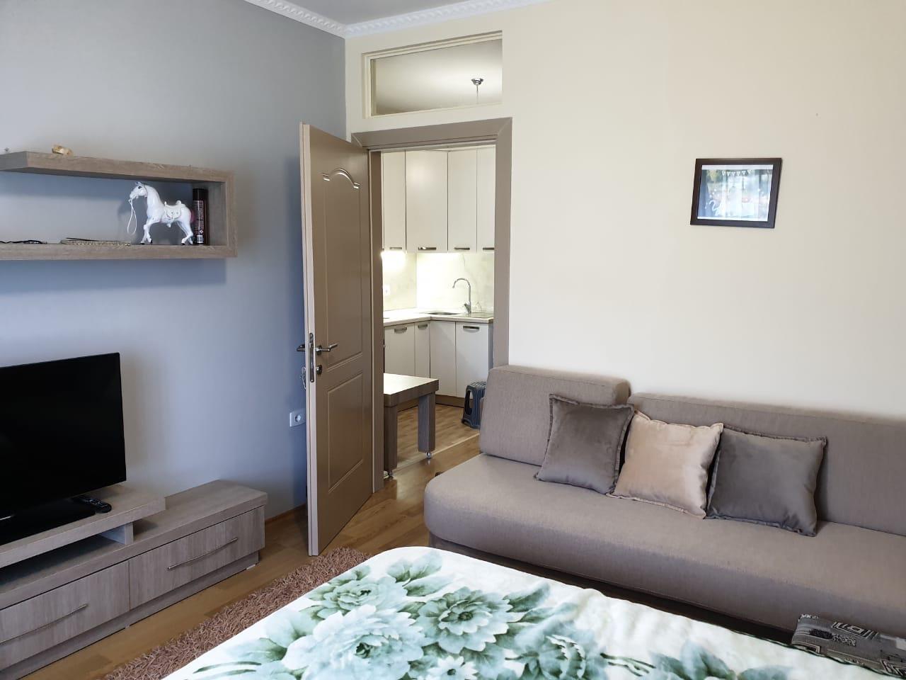 GARSONIERE TUSHEMISHT 1+1