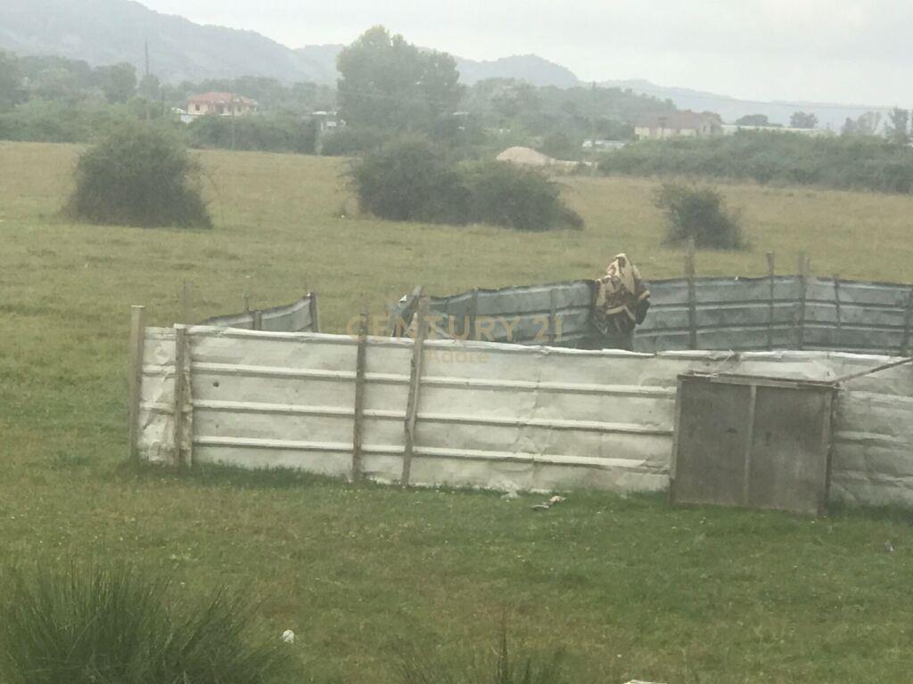 Shitet 19342 m2 Toke Ne Rinas