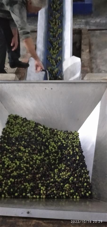 SHITET & KËMBEHET + 300 ULLINJ 12 VJEÇAR