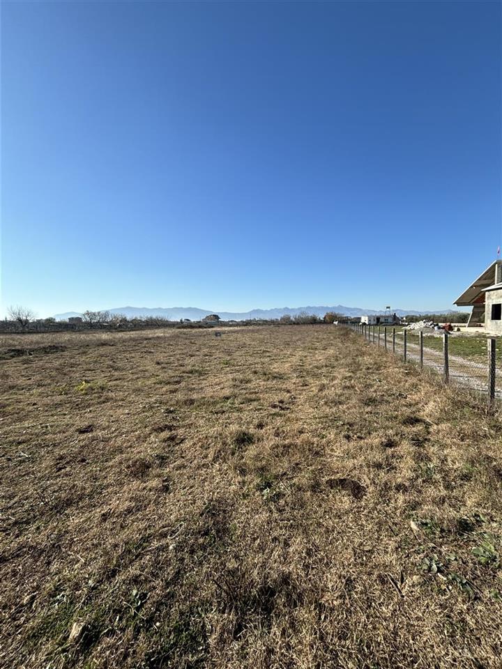 TOKE NE SHITJE OKAZION.