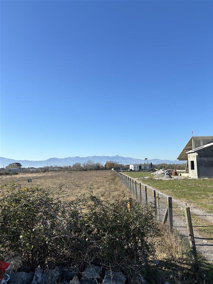 TOKE NE SHITJE OKAZION.