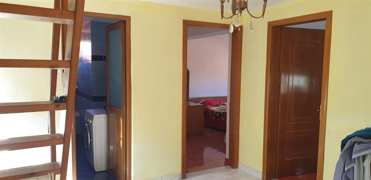 Shitet Vile 3 Kate FIER OKAZION