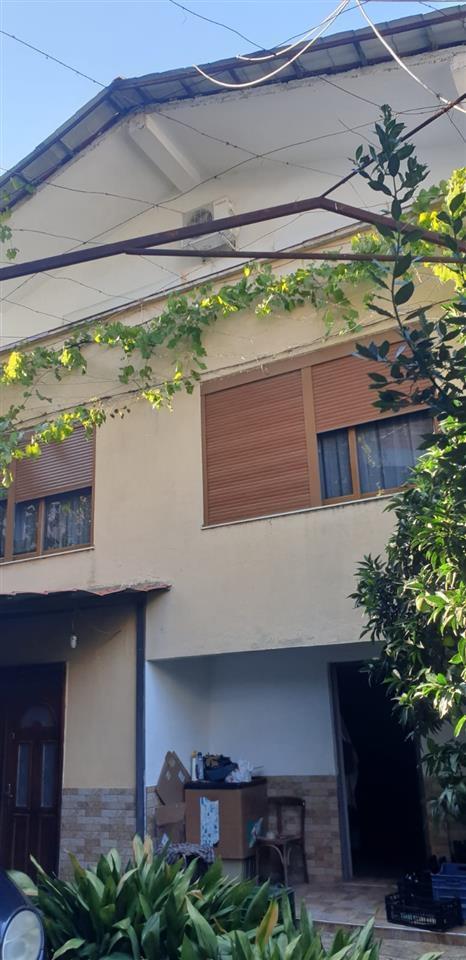 Shitet Vile 3 Kate FIER OKAZION