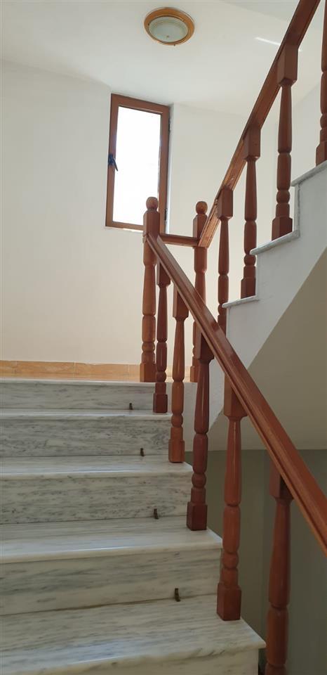 Shitet Vile 3 Kate FIER OKAZION