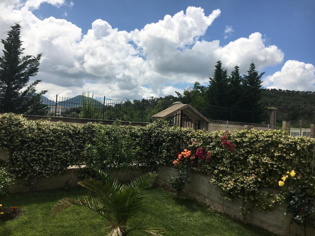 Vile me qira, Mjull Bathore (Acacia Hills)