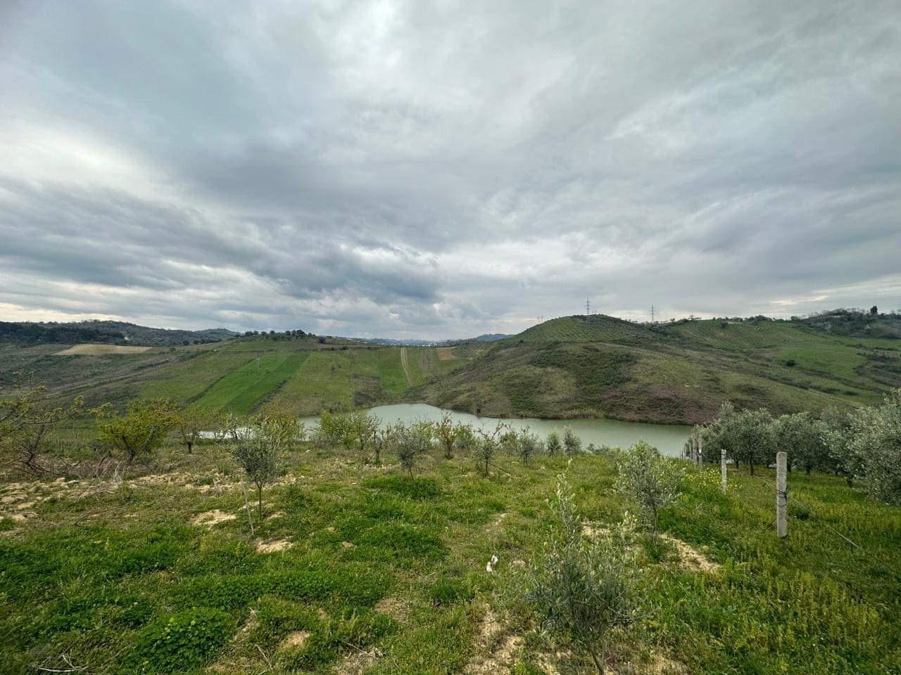 okazion toke ne golem