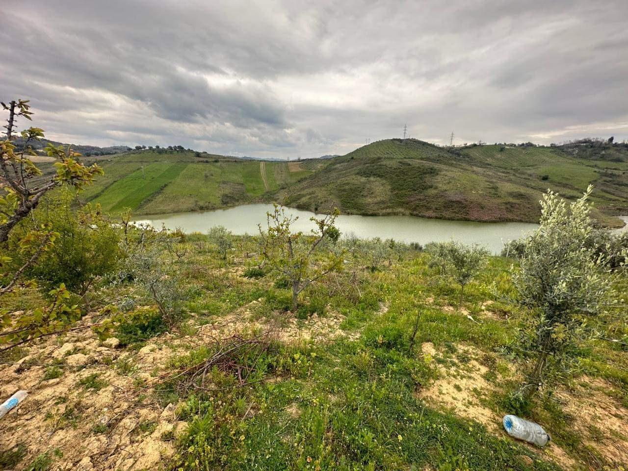 okazion toke ne golem