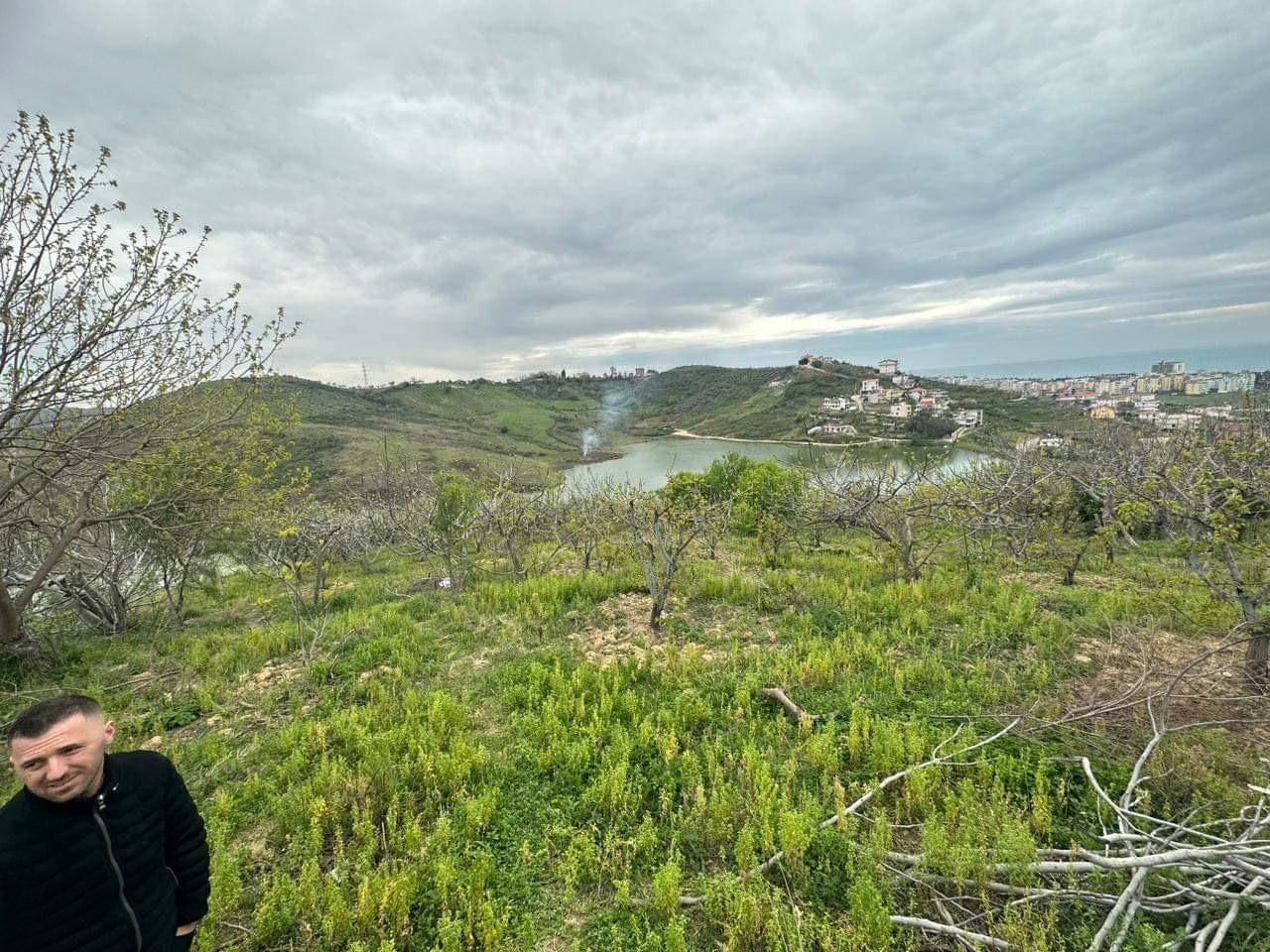 okazion toke ne golem