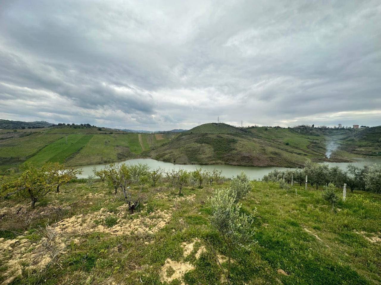 okazion toke ne golem