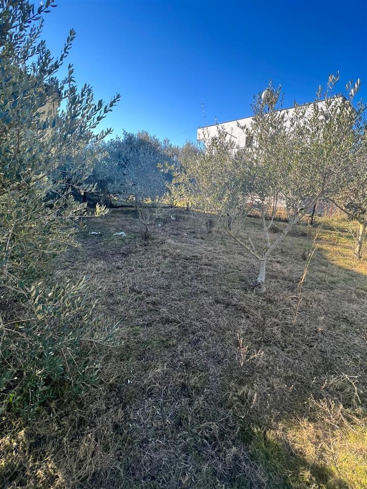 Shitet toke + shtepi e vjeter SHIJAK PJEZ okazioooooon