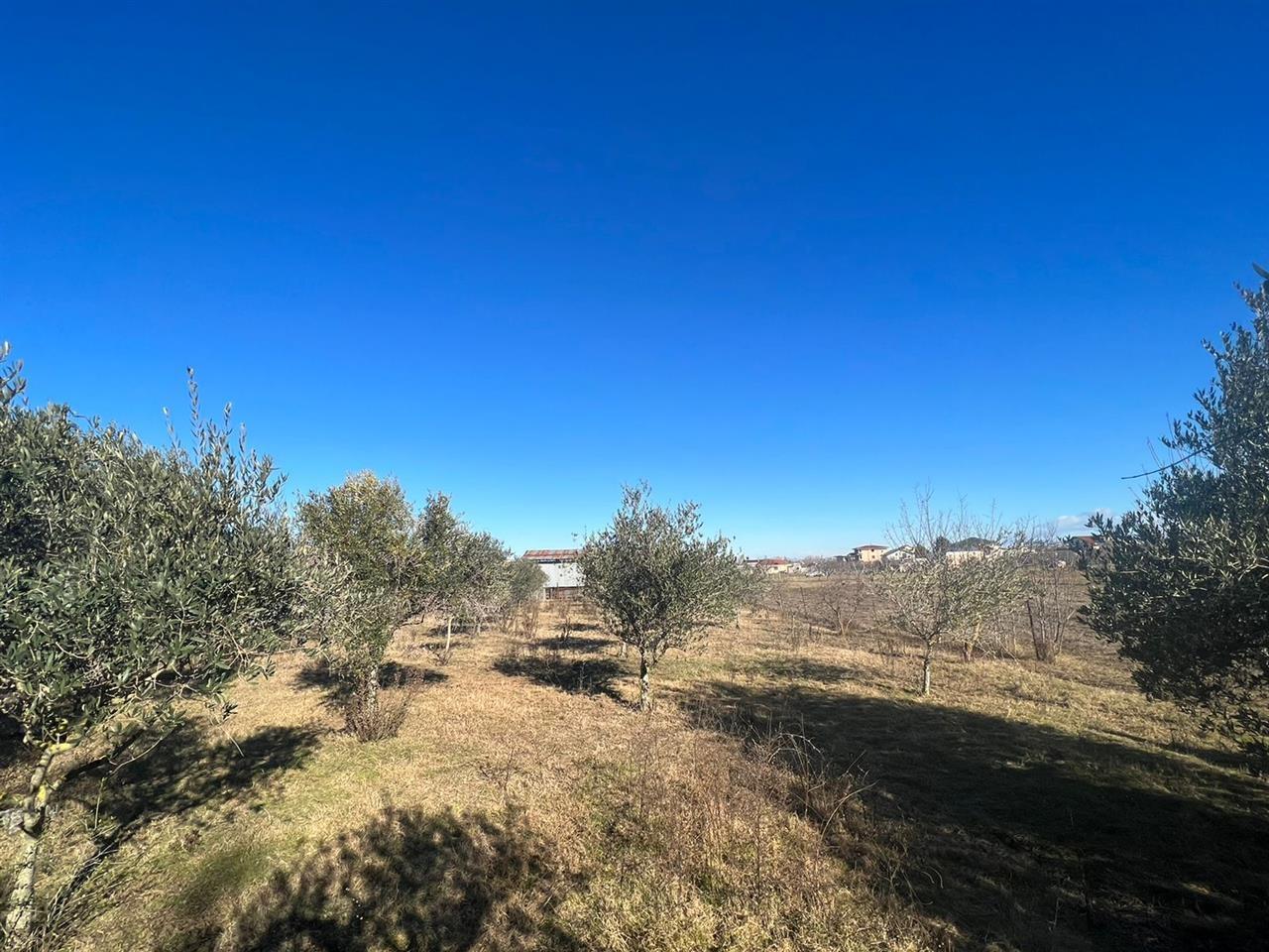 Shitet toke + shtepi e vjeter SHIJAK PJEZ okazioooooon