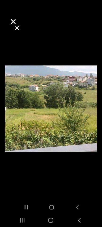 SHITET VILA & 5500 M² TOKË NË SAUK !!!