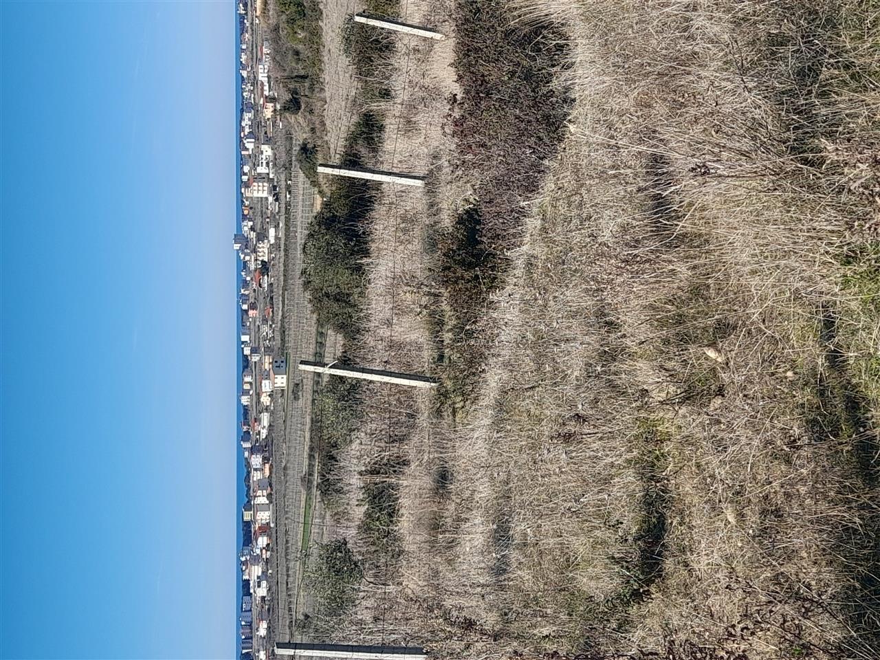 Shitet toke koder me pamje nga deti spille