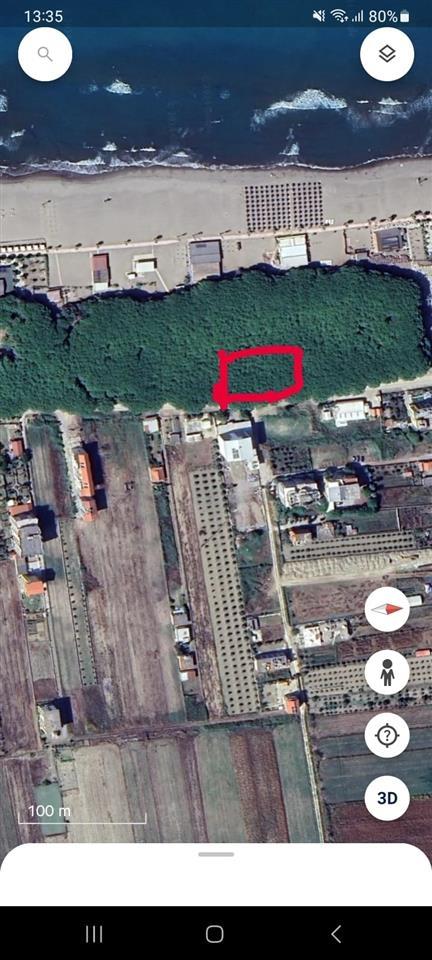 Shitet toke ne pisha ne spille