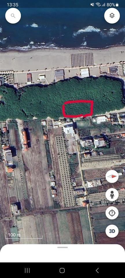 Shitet toke ne pisha ne spille