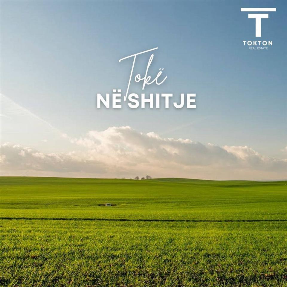 SHITET, TOKË, BËRZHITË, TIRANË TT 376