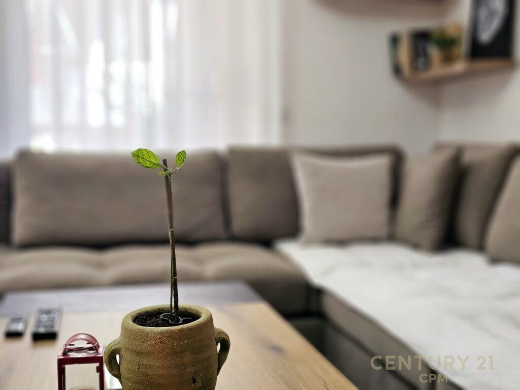 Qira Apartament 2+1+2 Liqeni i Thate Tirane 700€