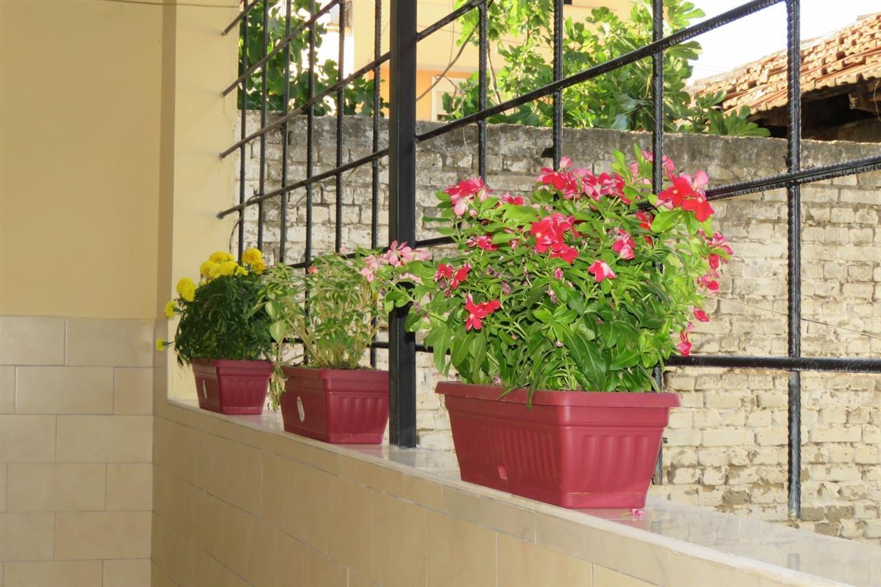 Jepet me qera 2+1 Xhamlliku!