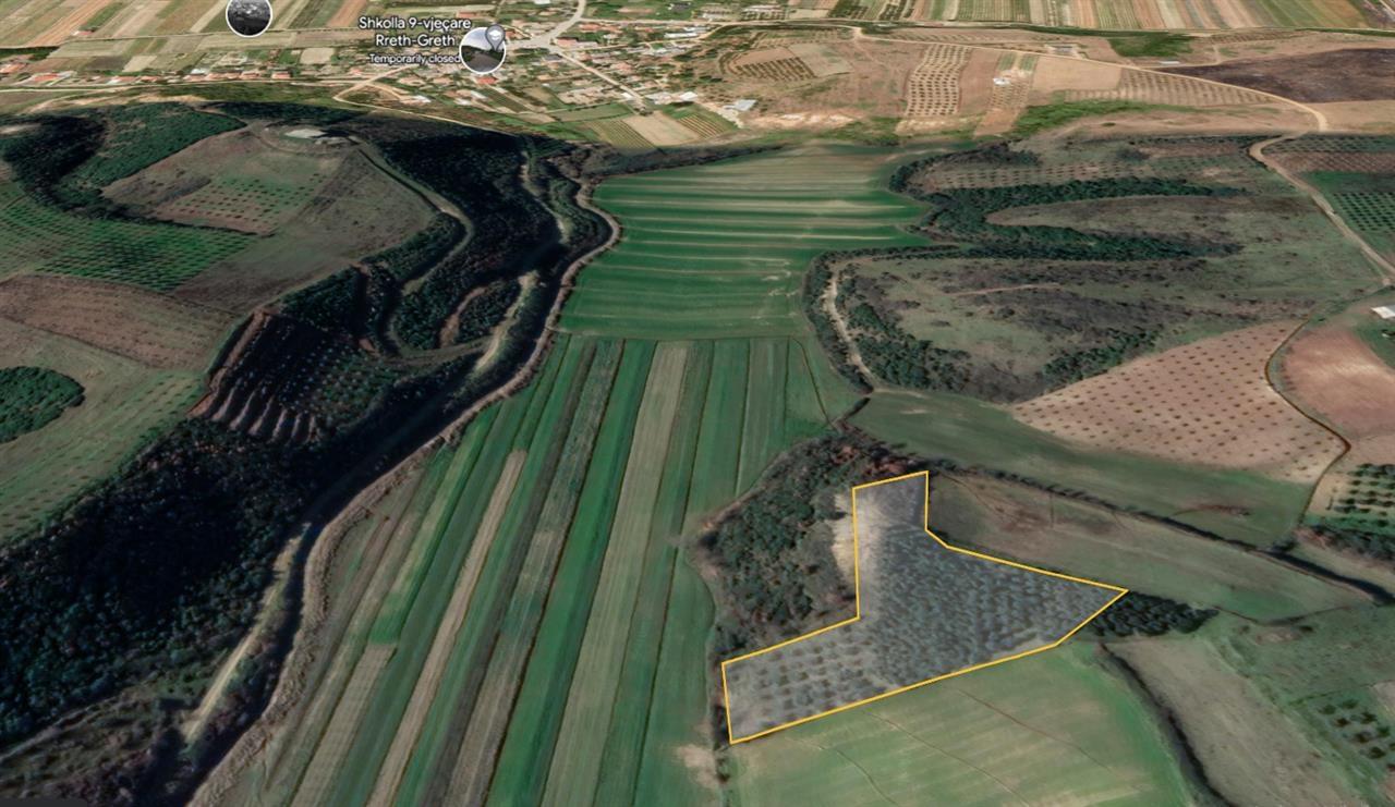 Ullishte ne Patk Milot (2 km nga deti Spille)me 230 rrenje.