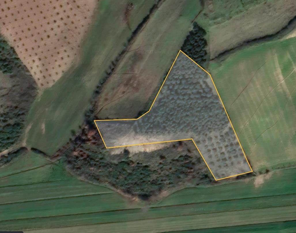 Ullishte ne Patk Milot (2 km nga deti Spille)me 230 rrenje.