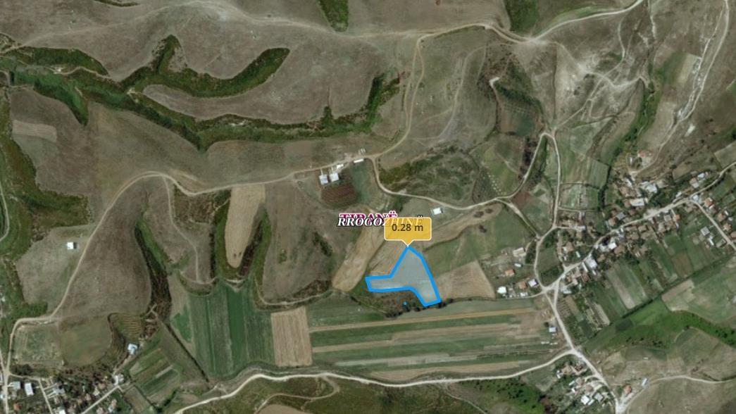 Ullishte ne Patk Milot (2 km nga deti Spille)me 230 rrenje.