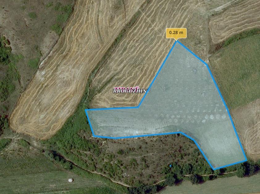 Ullishte ne Patk Milot (2 km nga deti Spille)me 230 rrenje.