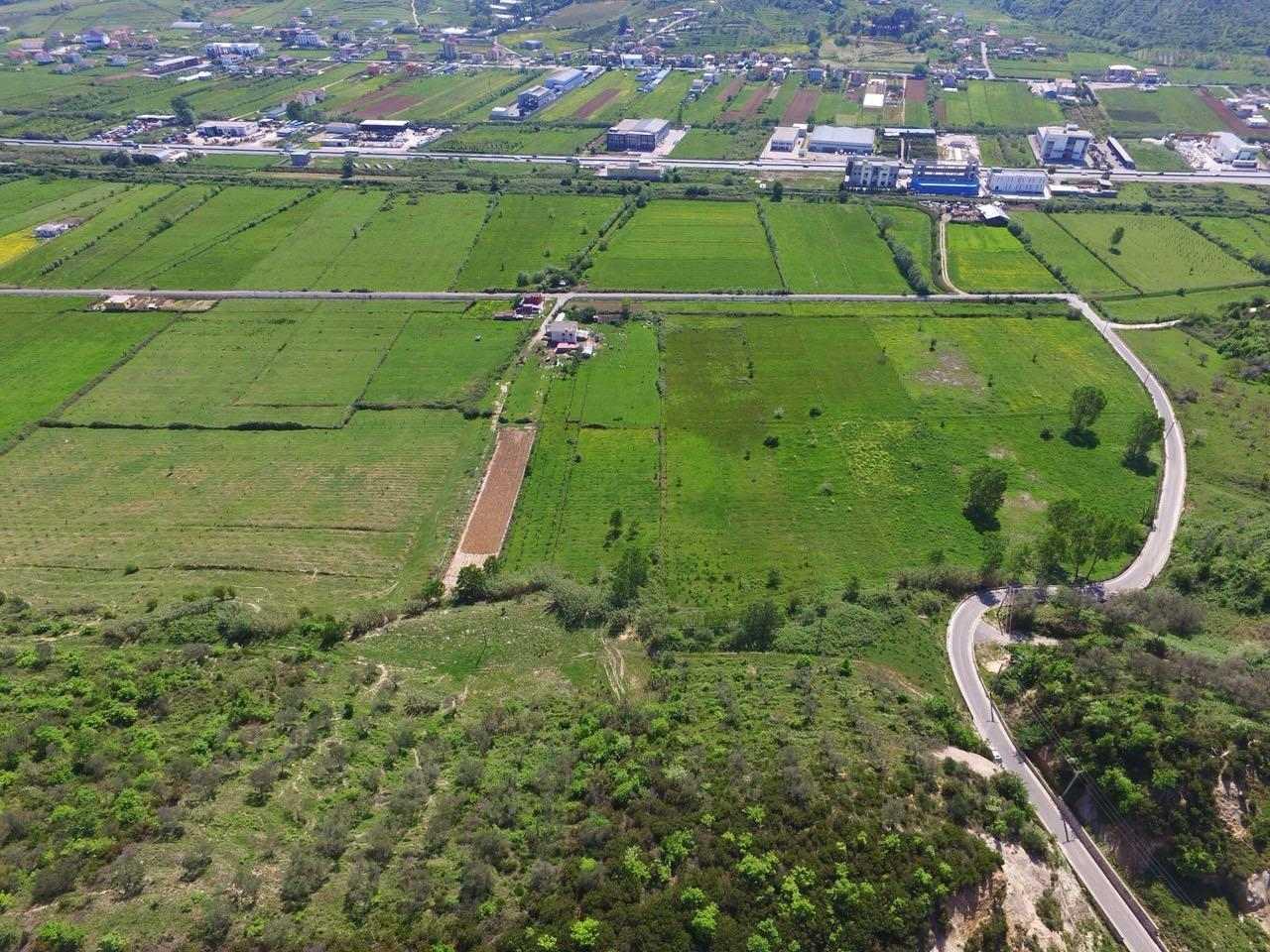 Toke Marikaj,Vore,Tirane