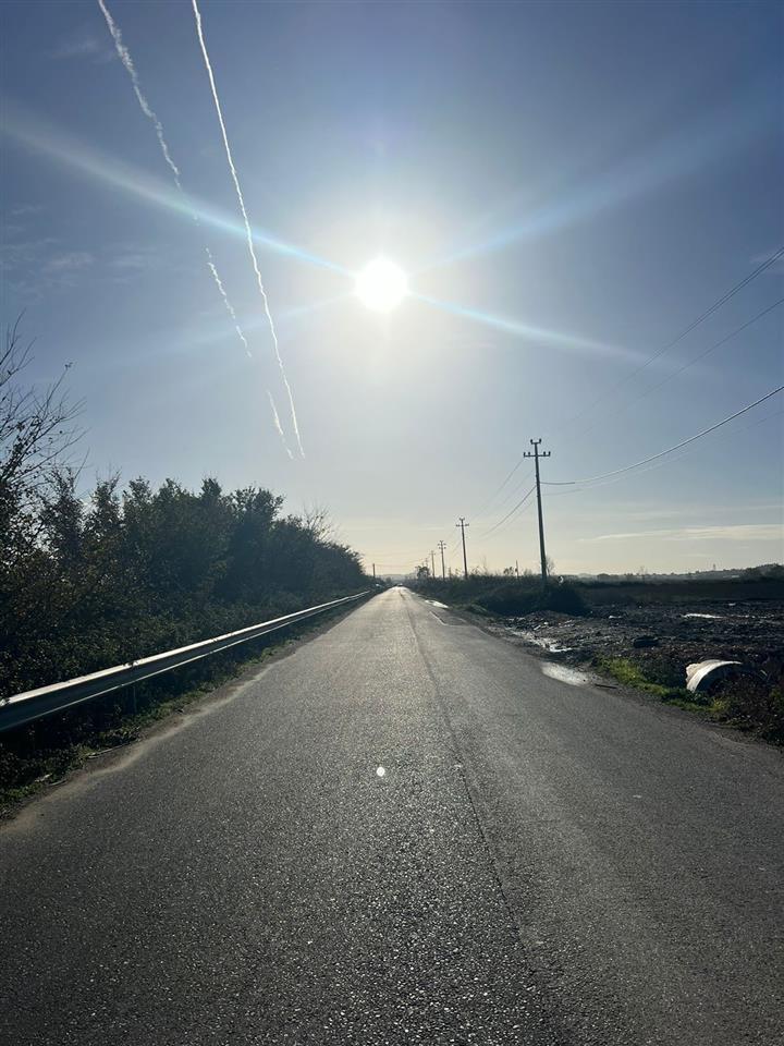 Shitet toke 15800 metra ne fllake per Kapanon