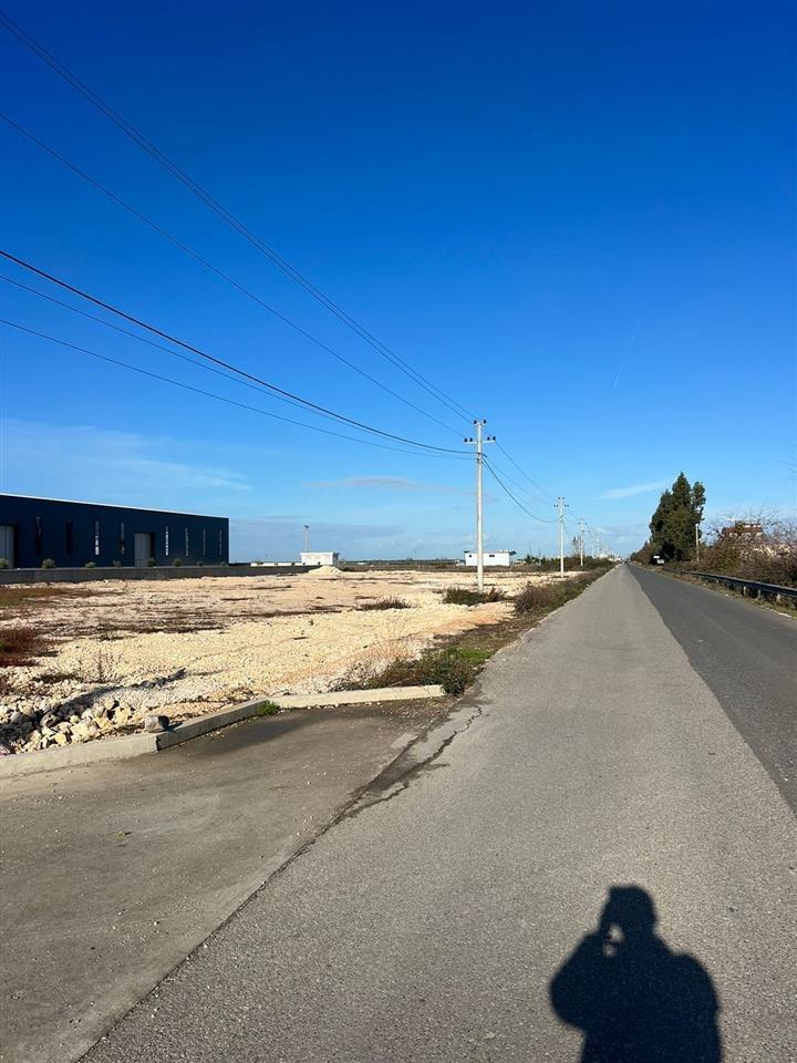 Shitet toke 15800 metra ne fllake per Kapanon