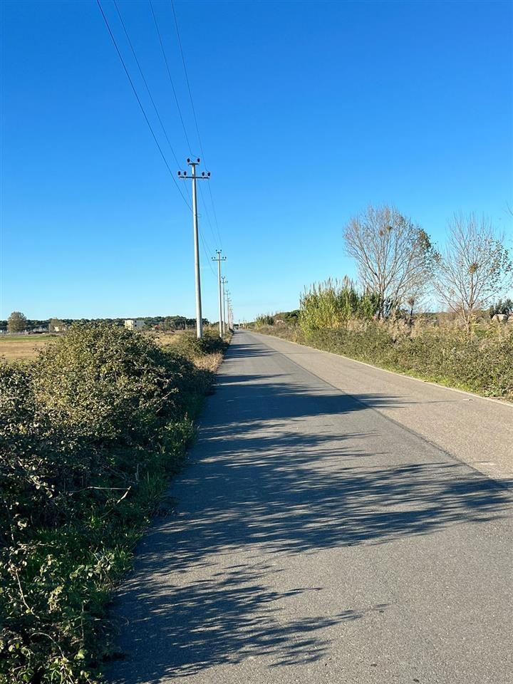 Shiten 10 dylym Toke ne fllake Afer plazhit