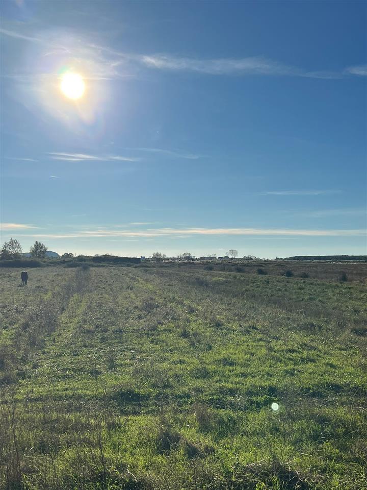 Shiten 10 dylym Toke ne fllake Afer plazhit