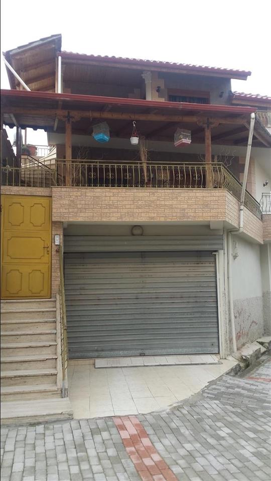 Certificate pronesie