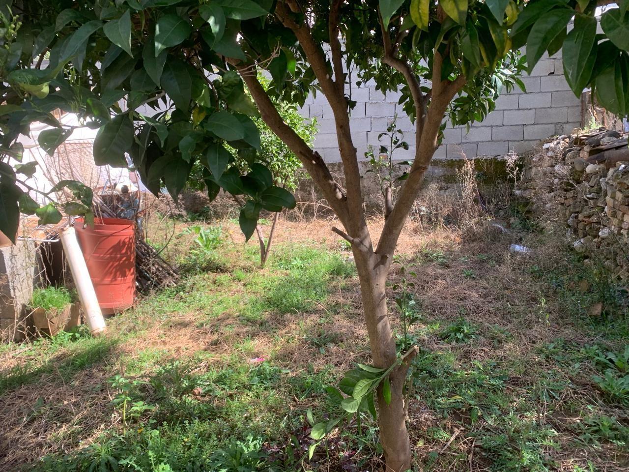 SHITET SHTEPI PRIVATE NE FRESK PER 120.000 EURO