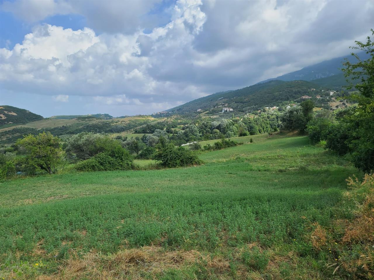 SHITET TOKE 3300M2 NE PRISKE E MADHE-TIRANE PER 255000EURO