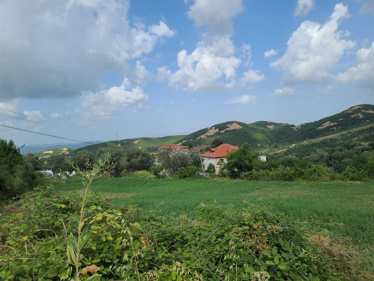 SHITET TOKE 3300M2 NE PRISKE E MADHE-TIRANE PER 255000EURO