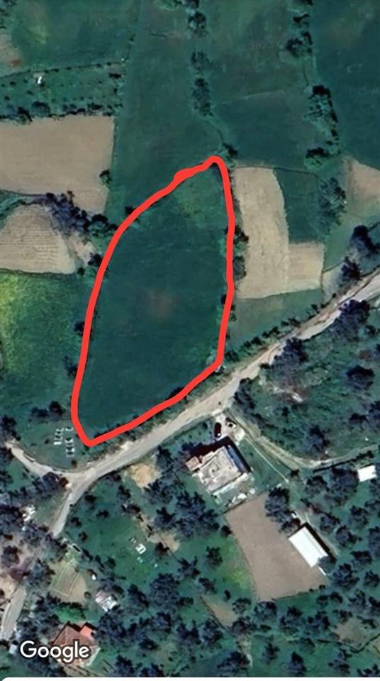 SHITET TOKE 3300M2 NE PRISKE E MADHE-TIRANE PER 255000EURO