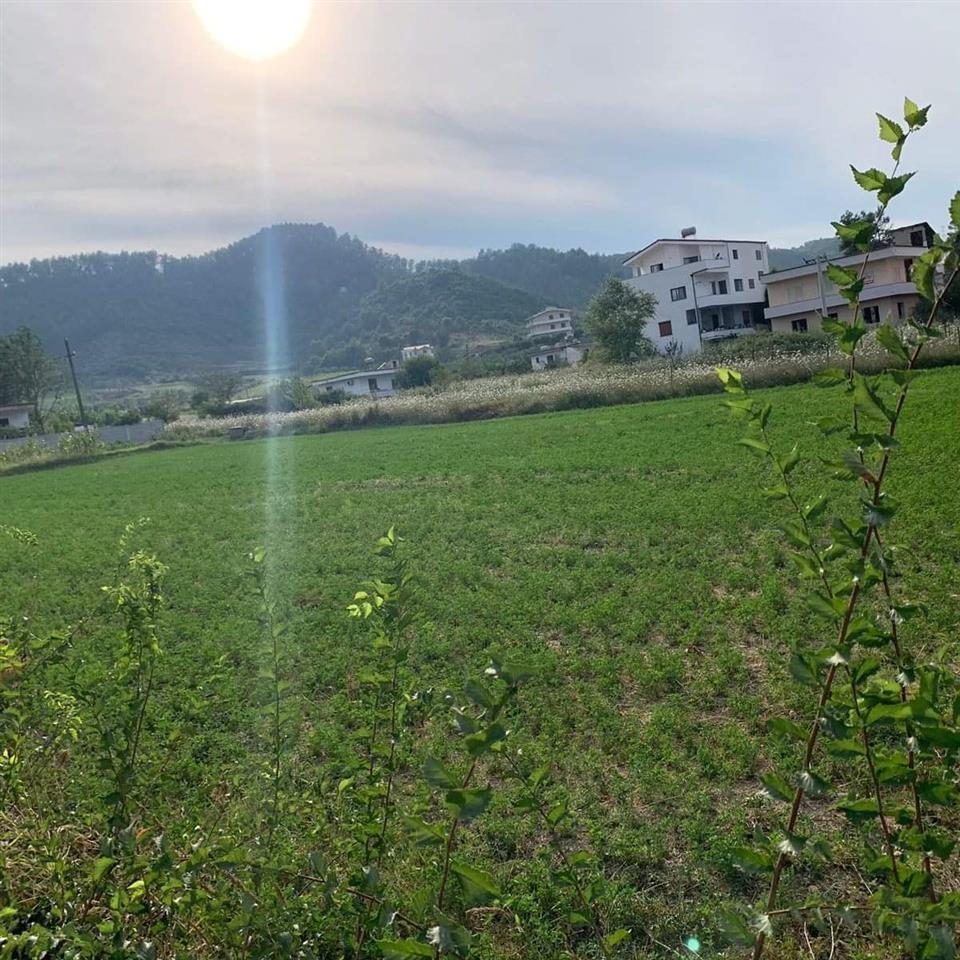 SHITET TOKE 2800M2 PER 130 ALL/M2 NE PRUSH-TIRANE