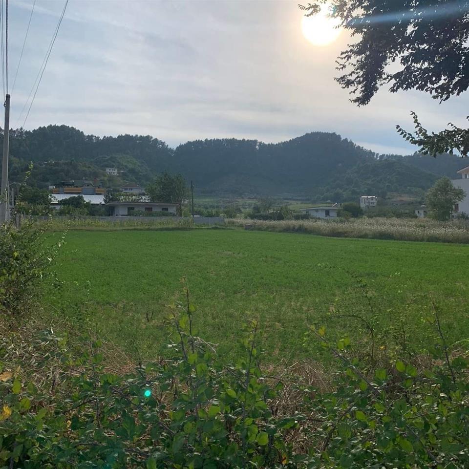 SHITET TOKE 2800M2 PER 130 ALL/M2 NE PRUSH-TIRANE