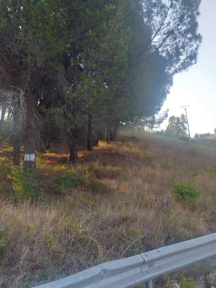 Shitet tokë okazion me çertifikat pronesie