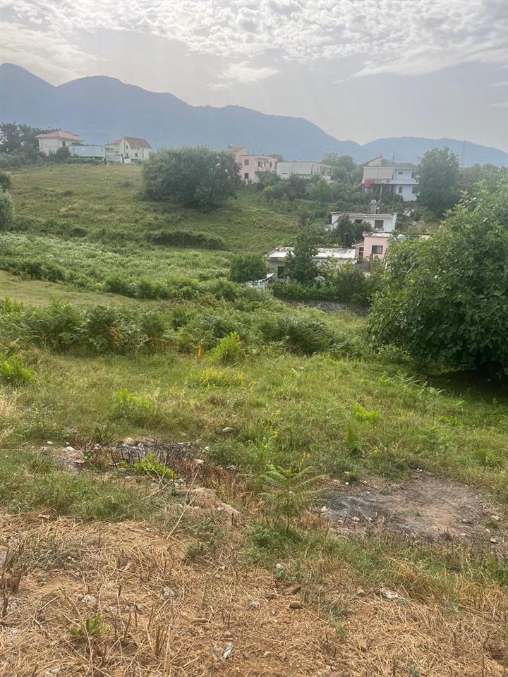 PASKUQAN- SHITET TOKE 720 M2