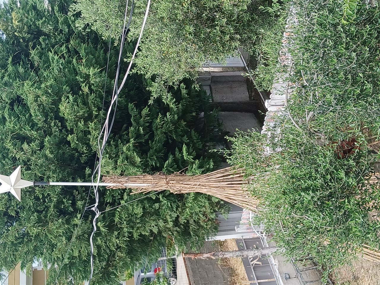 Shtepi private me qera sektor rinia ose ne shitje