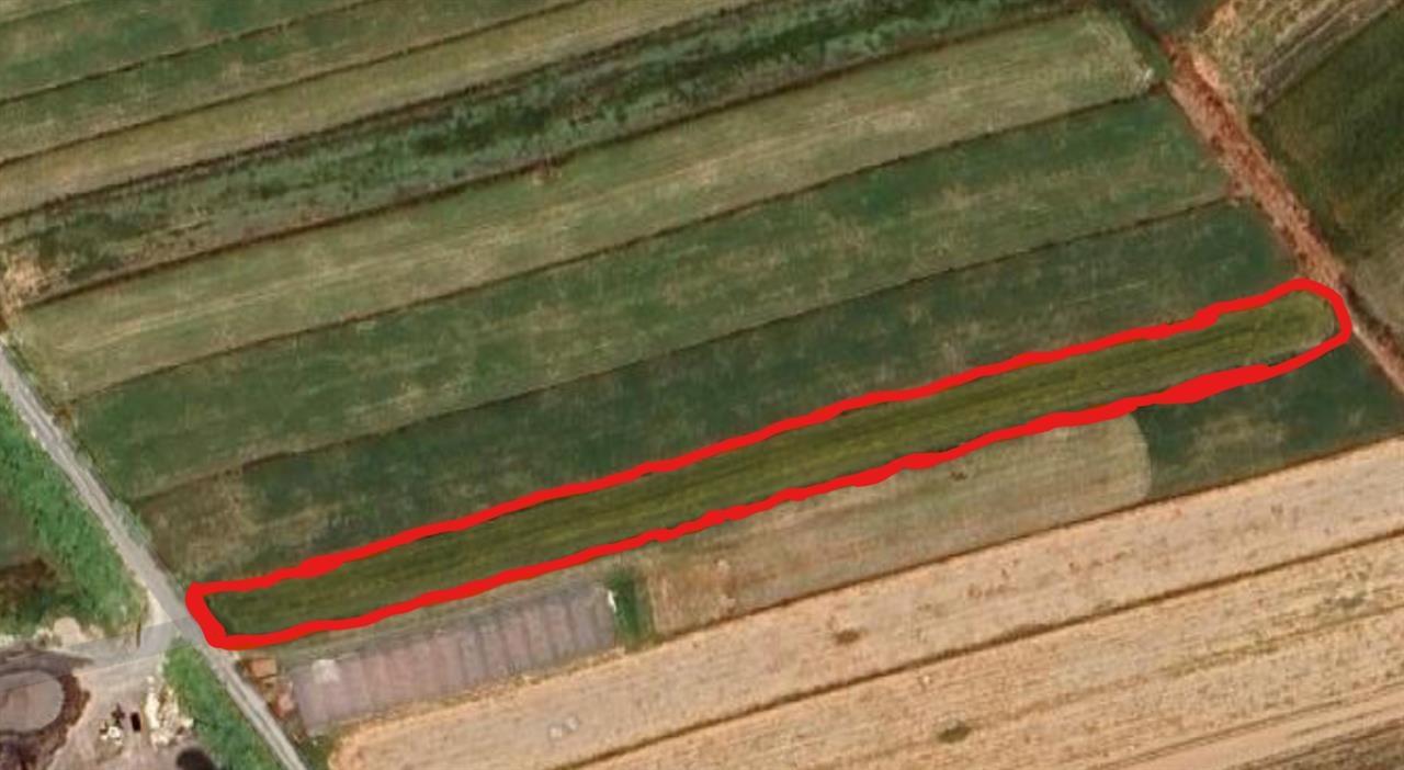 SHITET TOKA KUCOVE (KOZARE)