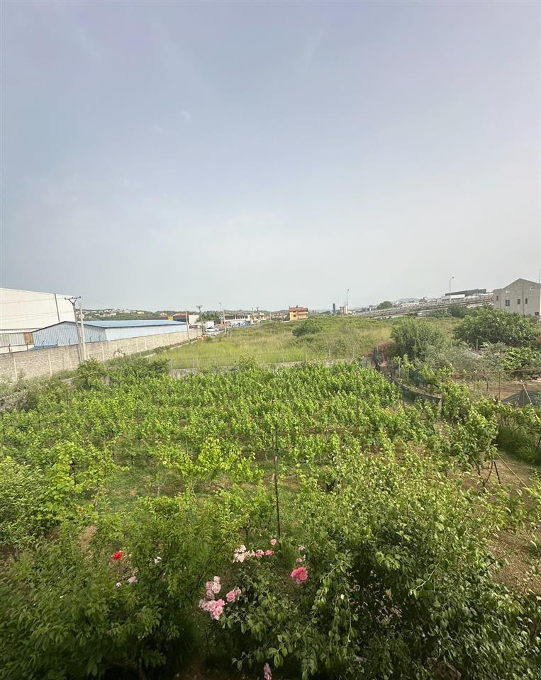 ‼️‼️shitet prona ne vore tek kastrati i madh ‼️‼️