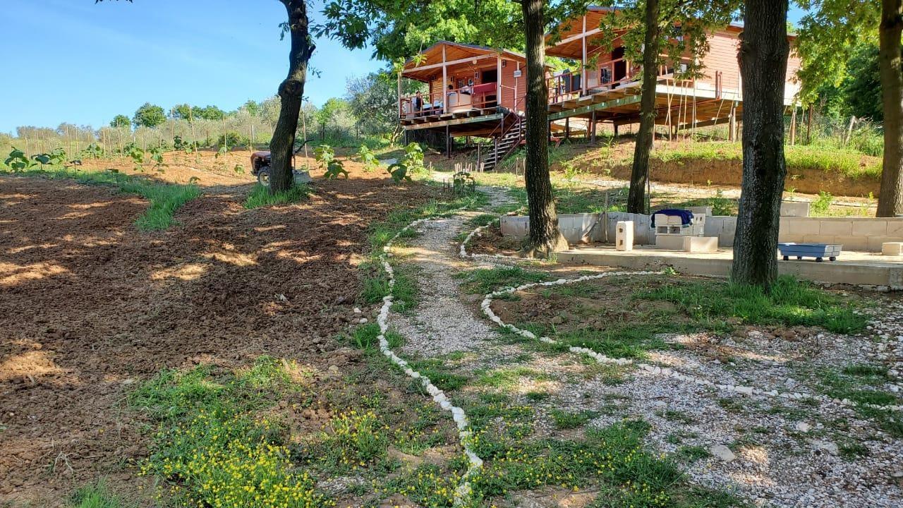 okazion shitet toke PATOS FSHATE pylli gjorgozit