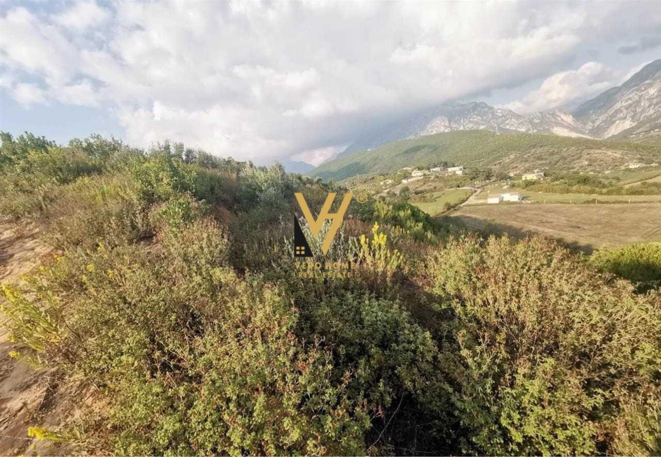 SHITET TOKE 7.500 M2 NE ZALLHER 450.000 EURO