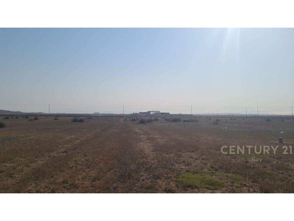 SHITET TOKE NE SPITALLE !!!