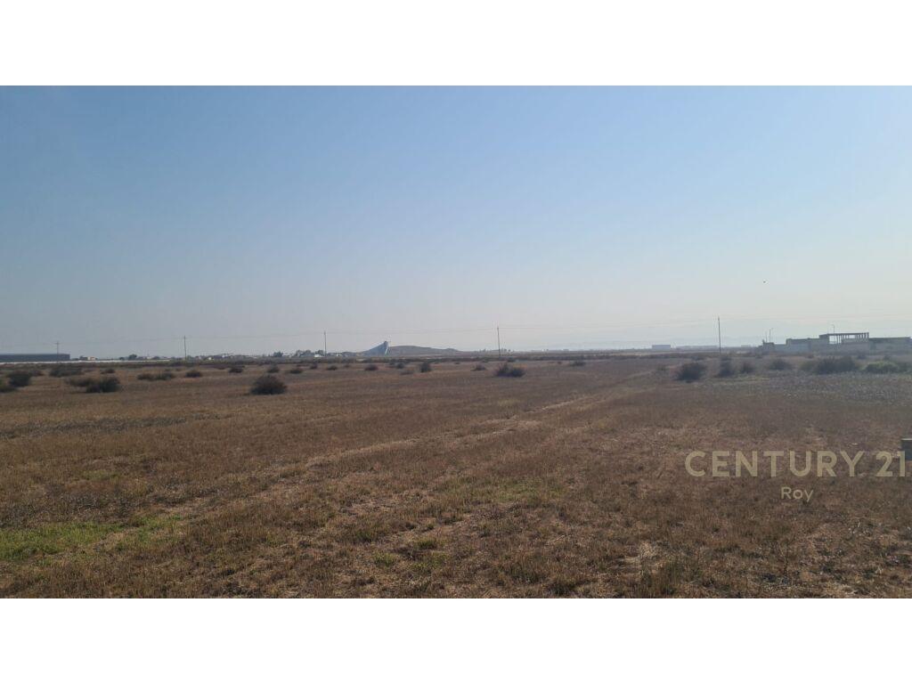 SHITET TOKE NE SPITALLE !!!