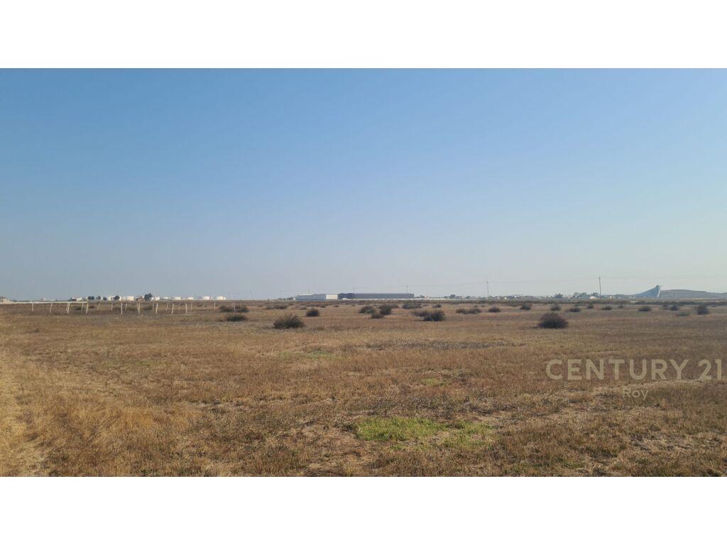 SHITET TOKE NE SPITALLE !!!