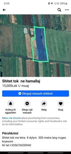 Shitet toka ne hamallaj