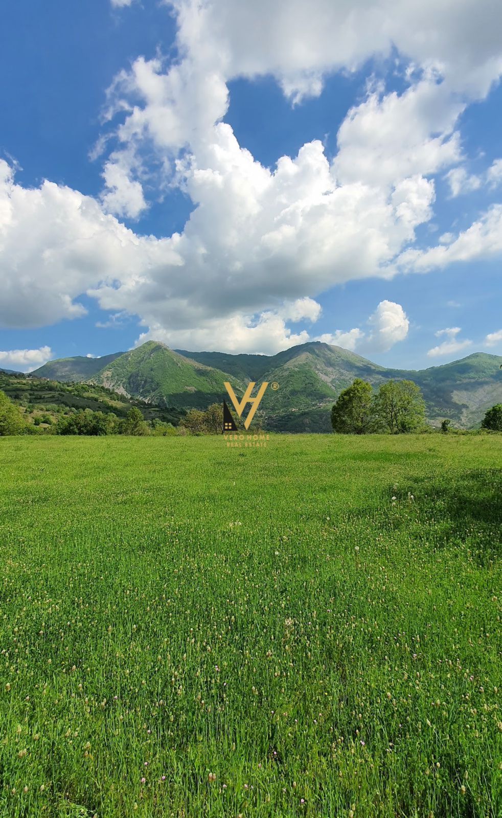 SHITET TOKE 3.800 M2 NE PETRELE 400.000 EURO